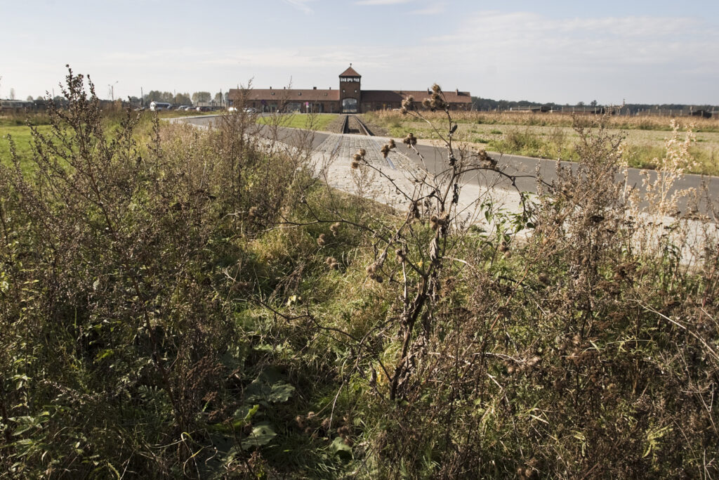 Zicht vanaf het overgroeide verbindingsspoor naar Birkenau. Collectie: Hans Citroen