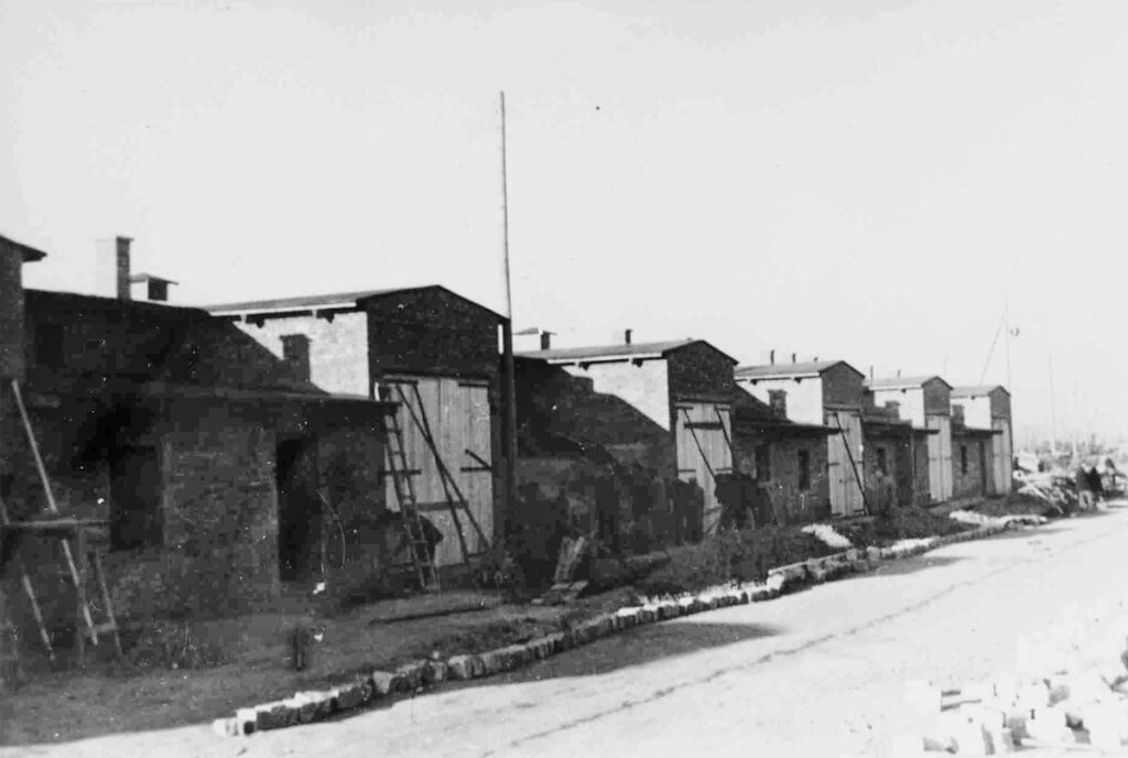 Construction des Kartoffelbarakken en été 1942. A l’horizon, la porte d’accès à Auschwitz-Birkenau. Collection : Panstwowe Muzeum Auschwitz-Birkenau